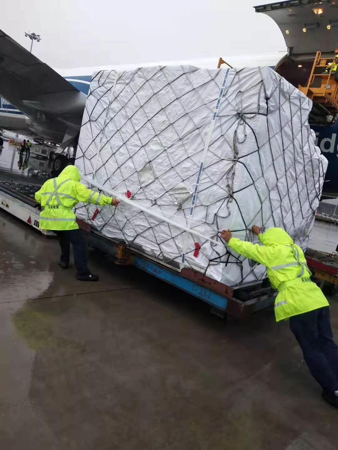 开云中国-2025nba季前赛录像回放